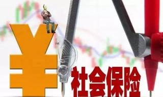 2020年11月的社保怎么交不了