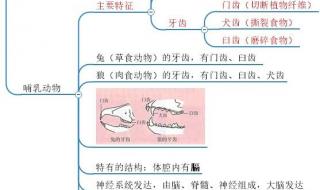 中考生物书上没有的知识点