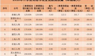 中国寿险保险公司排名前十